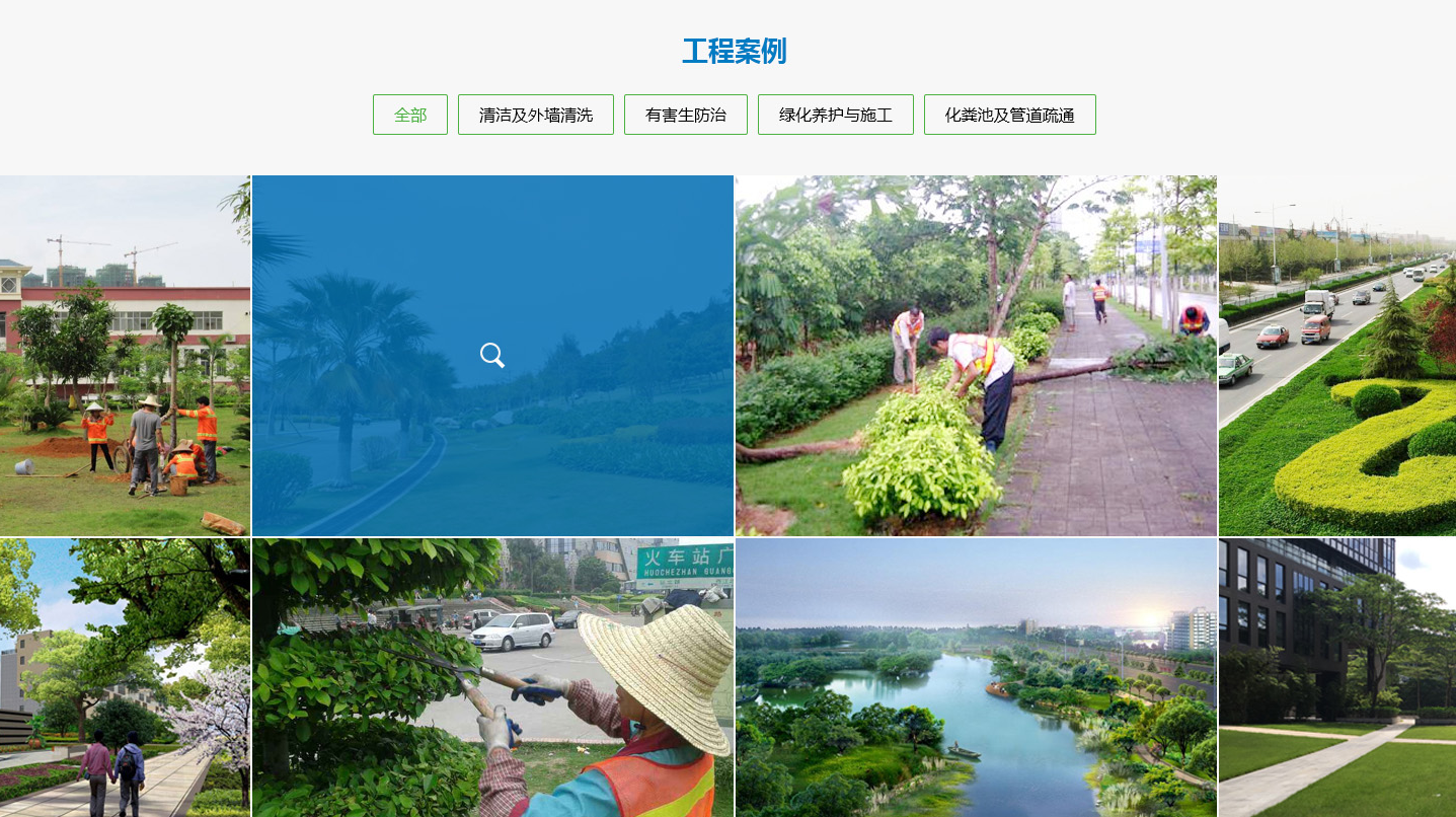 网站案例